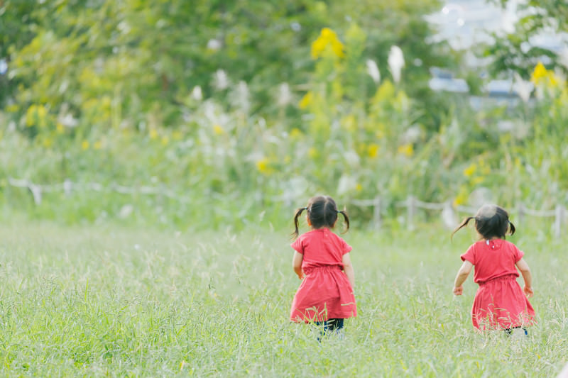 きょうだいをひとまとめにしない。不登校の子ときょうだいへの接し方